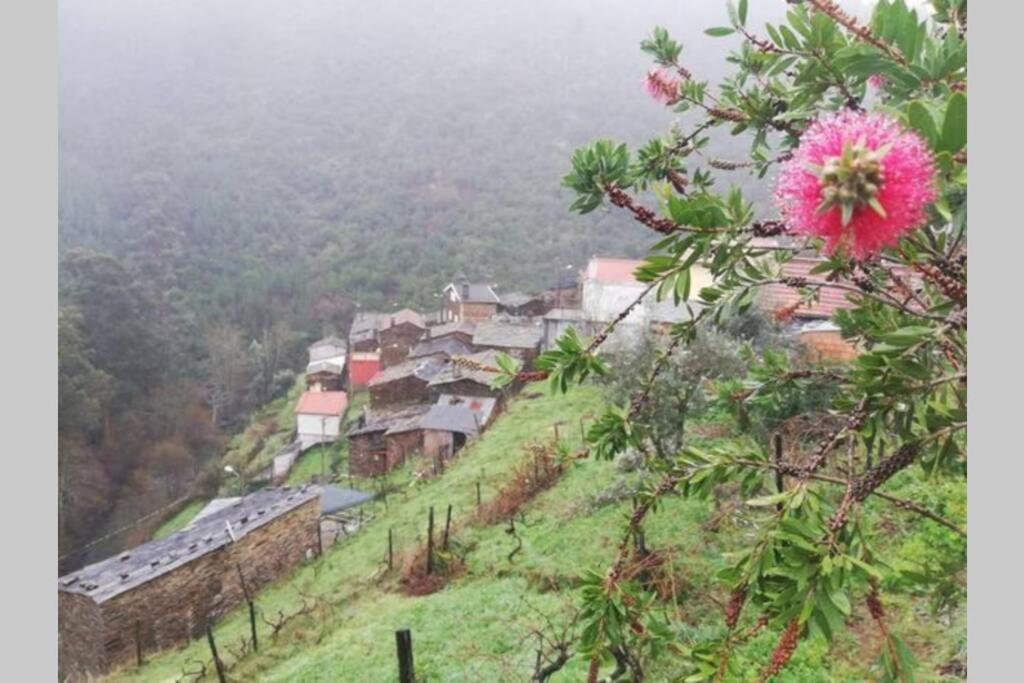 Casa Do Avo Alvaro - Refugio Do Rei Casal do Rei  Bagian luar foto